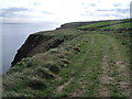 Cleveland Way towards Robin Hoods Bay in YO22 4LH