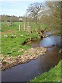 River Tale near Escot in EX11 1LS