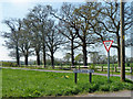 Trees at the crossroads in RH13 8QG