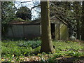 Ruined shed, Berry Lane in GU3 3QB