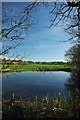 Pond Near Leigham's farm in CM3 4HF