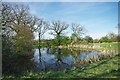 Pond by St Peter's Way in CM3 4HF