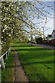 Blossom & East Hanningfield Green in CM3 8AA