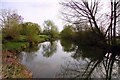 The River Cherwell at Sunnymead in OX2 7EP