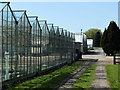 2011 : Glasshouses at Showell Nurseries in SN15 2NP