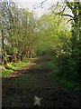 Bridleway to Lunces Common in RH15 0ZJ