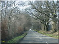 Straight road through the Blackdown Hills in TA3 7DU