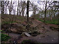 Footbridge in Raveden Wood in BL1 6JS