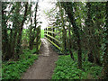 Footbridge over Bourn Brook in South Cambridgeshire District