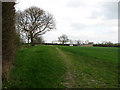 Footpath to Grantchester in South Cambridgeshire District