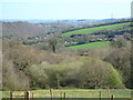 The Alphin Brook valley in EX4 2JL