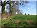 Field boundary south of Higher Tale in EX5 2RP