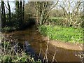 Ford and more, River Tale in EX14 3HN