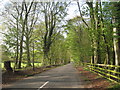 The lane into Welton le Wold in Welton Le Wold