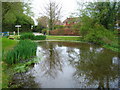 Village pond - Mapledurwell in RG25 2LU