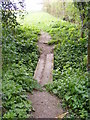 Footbridge on the footpath to Bruisyard Wood in Bruisyard