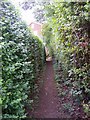Footpath off Cowdray Close, Scholes, Cleckheaton in BD19 6LY