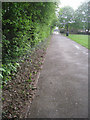 Path behind Normanton Road in RG21 5GX