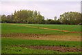 Footpath across the field to Marston in Elsfield