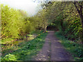 Path Alongside Barrow Brook, Sale Water Park in M33 2NL