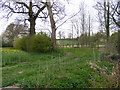 Footpath to Capon's Green in Badingham