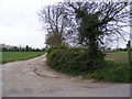 Footpath to Loam Pit Lane in IP19 8LY