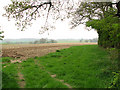 Cultivated fields south of Felbrigg in NR11 8SB
