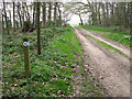 Footpath marker by Marble Hill Lodges, Felbrigg in NR11 8SB