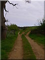 Footpath and fields near Fitzlea Farm in GU28 0PS