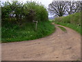 Footpath meets bridleway near Fitzlea Farm in GU28 0PS
