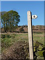 Footpath sign near Dudwood Farm in DE4 2BY