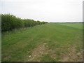 Field edge near Broughton Vale Farm in DN20 0AG