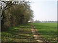 Fields near Shootersway, Berkhamsted in HP4 3AR