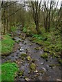 Stream in Walker Fold Woods in BL1 7PB