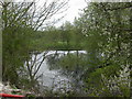 Winterborne Monkton, pond in DT2 9PU