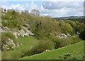 Wensley Dale, Derbyshire in South Darley