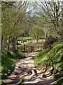 Footpath to Birchover Road in Birchover