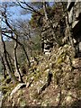 Cliff near Simon's Lake in TQ13 7PU