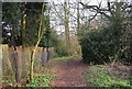 Footpath to Barnet Gate Wood in EN5 3BF