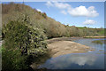The East Looe River in PL14 4PR