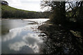 Reflections in the East Looe River in PL14 4PR