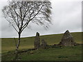 Ruined cottage with birch tree near Fullarton farm in EH26 8QQ