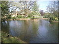 Pond in the grounds of Roehampton University in SW15 4HR