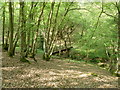 Descent to footbridge in Tittlesfold Copse in RH14 9BG
