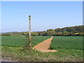 Footpath to Glemham Road & Holdans Lane in IP17 2BT