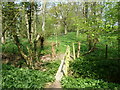 Footbridge in Mill Farm Hanger in RH14 9BL