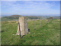 The trig point at 456m on Craik Moor in TD5 8PY