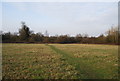 Footpath across Totteridge Fields in EN5 2AG