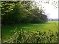 The northern edge of Bowler's Crab Wood in RH20 1HG