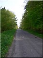 The road by Bowler's Crab Wood looking south in RH20 1HG